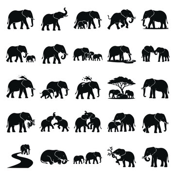 Silhouette Elephants Family Mother Baby Diverse Poses African Wildlife