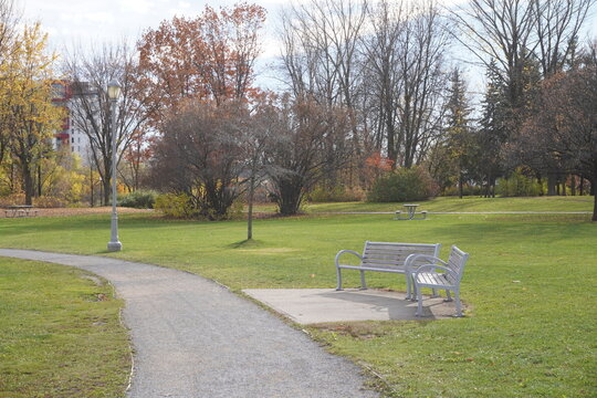 a wooden bench in the park