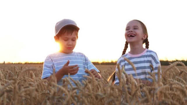 Funny kids hold hands, laughing walking across wheat meadow in sunset. Joyous children kids best friends girl boy joyfully strolling in field having nice pleasant time together chatting talking joking