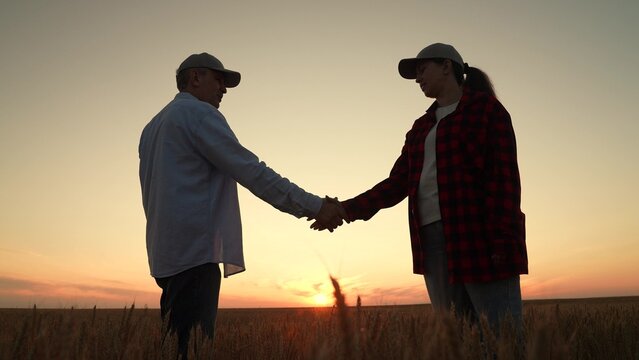 man farmer and woman compare tablet maps of wheat fields., wheatfield handshake symbolizes rural trust, farmer woman explains tablet readings to man in wheat field., farmer woman and man using tablet