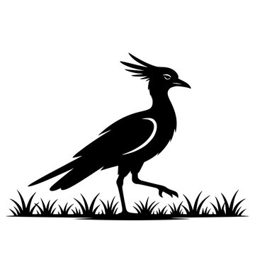 Black rooster walking in grassy field. Stylized vector silhouette of a proud farmyard bird at dawn.