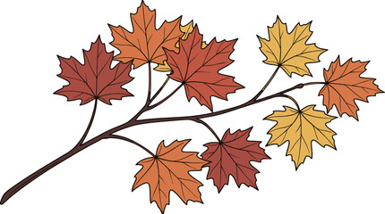 Fototapeta premium maple leaves isolated on white