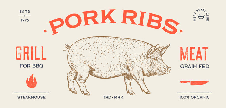 Pork, pig, hog, meat sketch, hand drawn. Vintage pig meat butcher engraving, pork sirloin roast label. Traditional butcher shop pork meat branding, rustic pig emblem. Vector Illustration