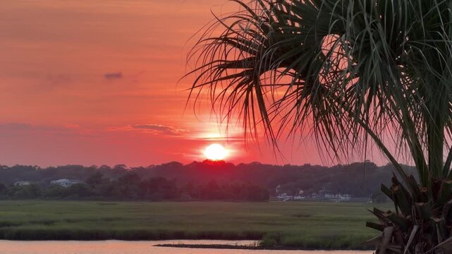 Establishing shot of a gorgeous sunset across an inlet at the beach with a palm tree and copy space