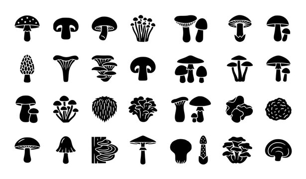 Premium pixel perfect mushroom glyph icon vector pack 32x32 fungi symbols isolated on white background