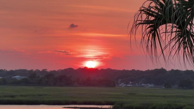 Establishing shot of a gorgeous sunset across an inlet at the beach with a palm tree and copy space