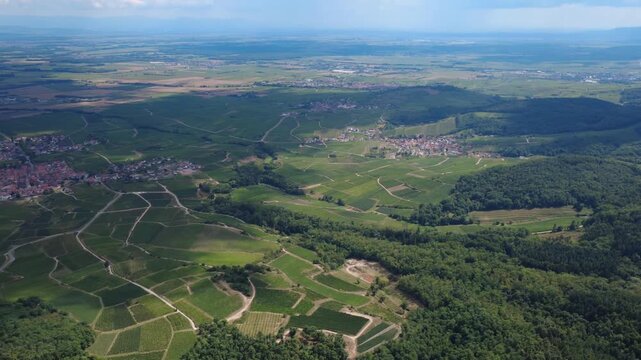 Aerial Pan View of Landscape made up of villages, vineyards and Forest in the Alsace region of France. Drone footage captures the scenic beauty of the region with lush greenery and rolling hills.