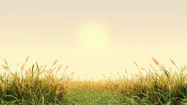 Peaceful tropical meadow during summer with tall grass and soft sunlight filtering through the sky