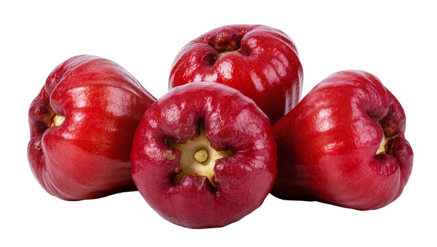 Isolated vibrant red wax apples, also known as rose apples or jambu air, freshly picked.