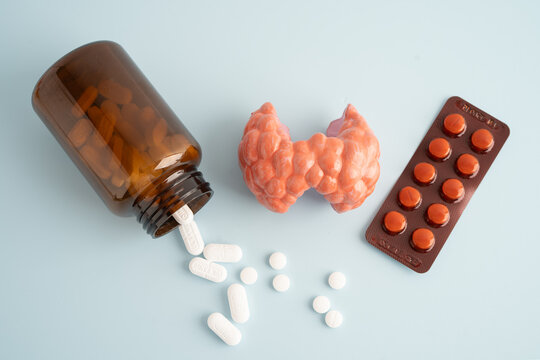 Thyroid model with pill drug treatment, Hyperthyroidism, Overactive or Lymphoma.
