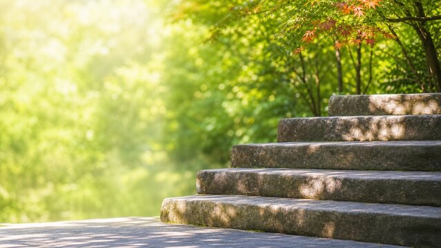 秋の木漏れ日と石段 色づき始めた木々に包まれた初秋の小径