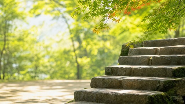 初秋の石段 木漏れ日が差し込む静かな和の庭の風景