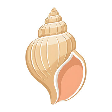 Vector illustration of a spiral conch shell. Features natural beige colors and a delicate pink interior. Ideal for marine, beach, and coastal graphic designs