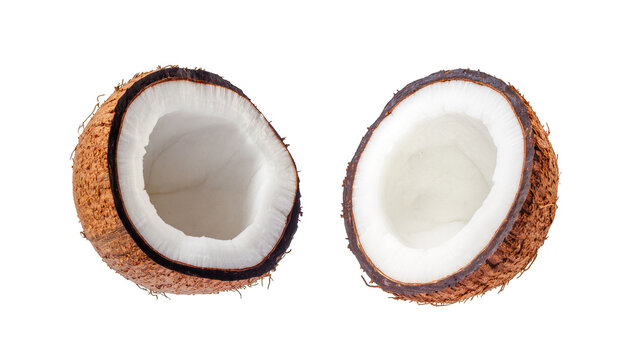 Isolated two fresh raw coconut halves displaying white flesh and brown husk exotic fruit