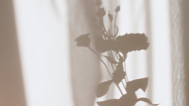 Eustoma flowers stand in a vase. Transparent soft light and shadow from leaves of the eustoma on wall. Wind blows through the open window in the room. Waving white tulle near the window. .4k