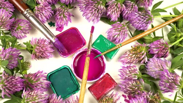 Flowers of red clover, pans of various green, pink, red paints, painting brushes laid out on a white background, top view, colors of nature