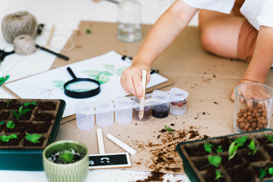 A child's hand uses a wooden stick to mix soil inside small plastic test tubes on the indoor floor. Creative home laboratory concept for ecology and futurism experiments.