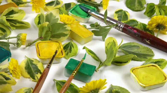 Twigs of euonymus, flowers of yellow small chrysanthemums, pans of various green and yellow paints, painting brushes laid out on a white background, side view, colors of nature