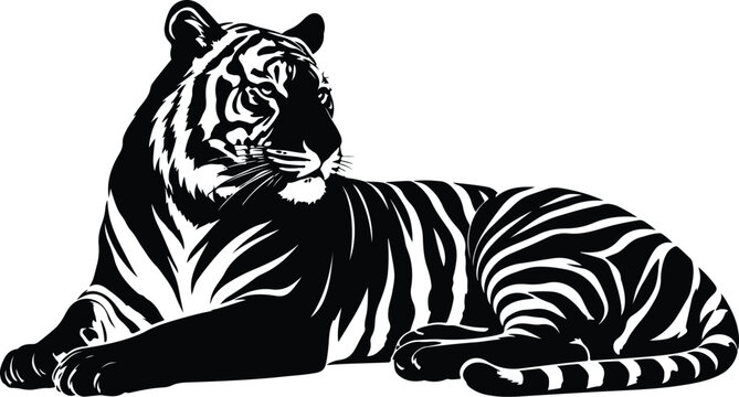 Vintage tiger illustration. Monochrome vector layout. Striped big cat resting. Black and white art for tattoo or logo design