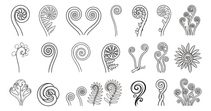 Koru fern frond icons set, Maori spiral symbols in black and white line art, 21 botanical unfurling leaf vector elements for logo design