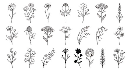 Fototapeta premium Minimalist wildflower line art collection, 21 botanical floral vector icons, hand drawn meadow herb and flower sketches for wedding invitations