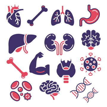 Human Anatomy Internal Organs Medical Two Tone Icon Set Vector