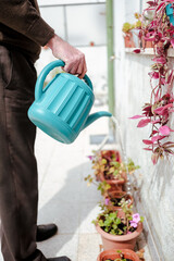 Senior person watering potted plants on sunny balcony © Digito  Pitoresco