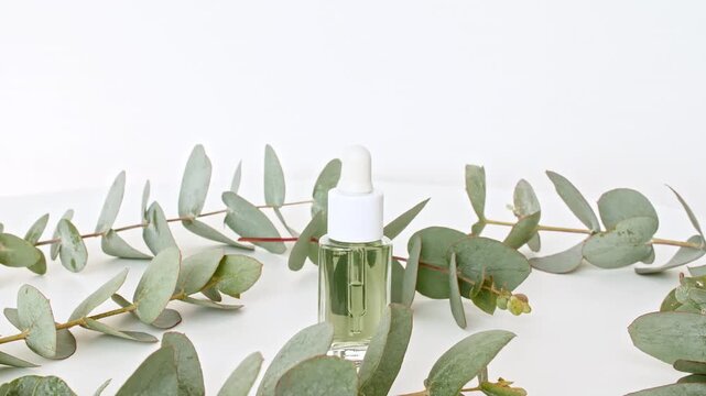 Organic Eucalyptus essence oil. Cosmetic bottles with pipette for serum, extract and emulsion. Cosmetics based on natural ingredients. Spa the concept of skin care. High quality 4k footage