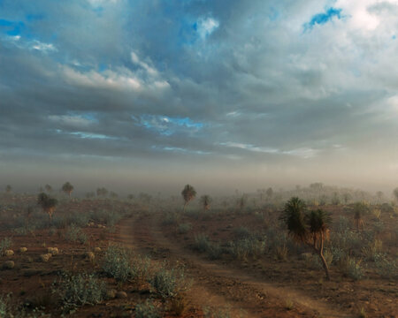 Yucca trees in an arid wide landscape under a sky with clouds during golden hour. 3D rendered image.