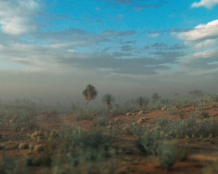 Yucca trees in an arid foggy wide landscape under a sky with clouds during golden hour. 3D rendered image.