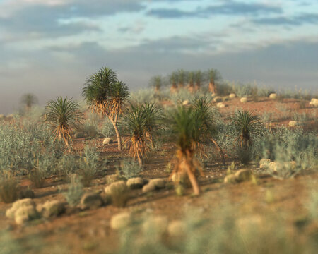 Yucca trees in an arid foggy wide landscape under a sky with clouds during golden hour. 3D rendered image.