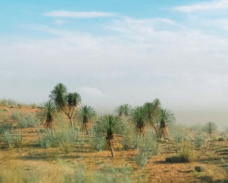 Yucca trees in an arid foggy wide landscape under a sky with clouds during golden hour. 3D rendered image.
