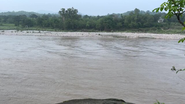  panaromic view of pond situated in the middle of pine covered forest of himchal pradsh india 030