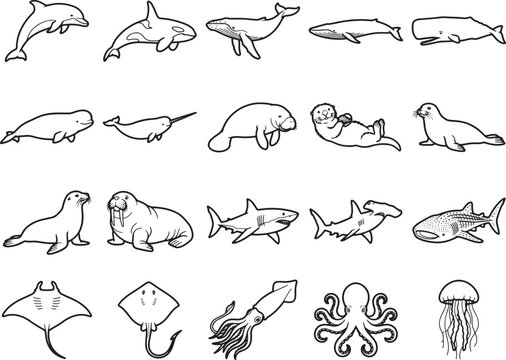 A collection of simple, line-art illustrations of various marine animals, including dolphins, whales, seals, sharks, and more, presented in a clear and organized grid.