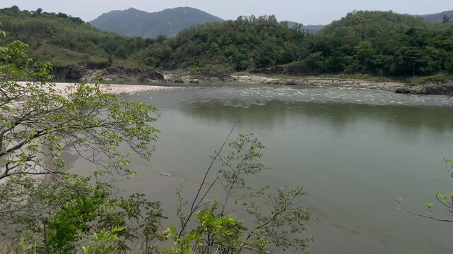 panaromic view of pond situated in the middle of pine covered forest of himchal pradsh india.