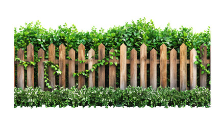Fototapeta premium Traditional Wooden Picket Fence with Mixed Green Hedges