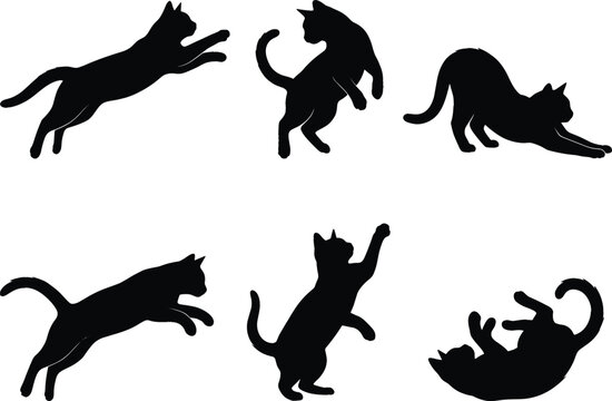 Black Cat Silhouette Set Featuring Domestic Cats Pouncing Stretching Playing and Jumping Isolated on White Background
