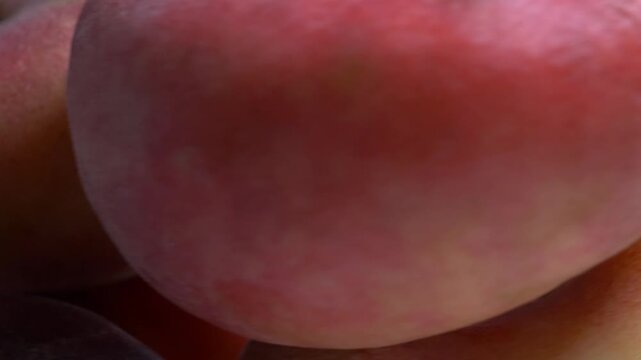Close-up of fresh flat Saturn peaches rotating on a white plate, showcasing their fuzzy red skin and unique donut shape under bright studio lighting.