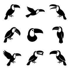 Obraz premium Black Toucan Bird Silhouettes Collection in Various Poses