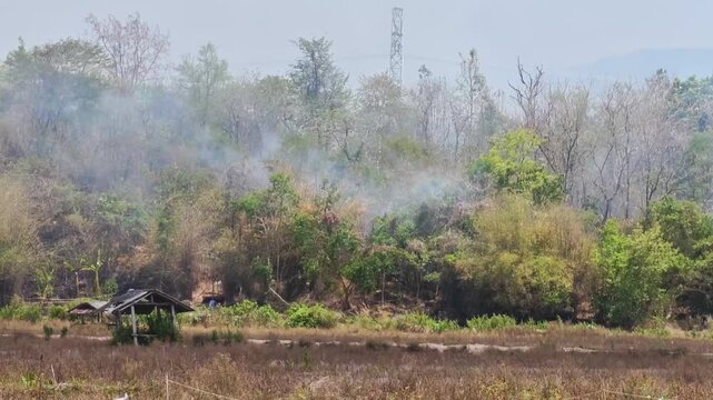 Wildfire , Wildfire Smoke , PM2.5
