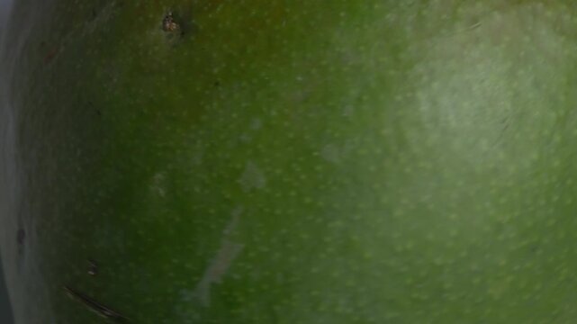 Close-up of a whole fresh green mango rotating on a white plate, showcasing its smooth skin, oval shape, and red blush under bright studio lighting.