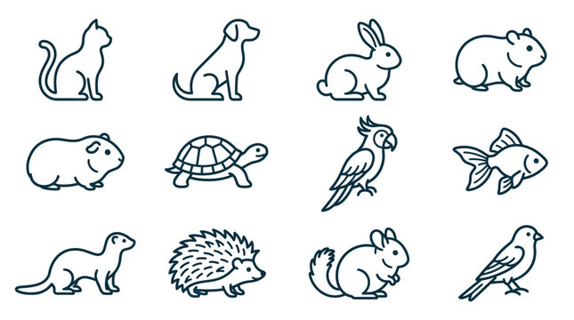 Cute Animal Icons Collection: Cat, Dog, Rabbit, Hamster, Guinea Pig, Turtle, Parrot, Fish