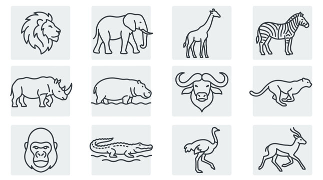African Safari Animals Line Art Icons: Lion, Elephant, Giraffe, Zebra, Rhino, Hippo