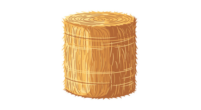 A large cylindrical bale of hay on a white background