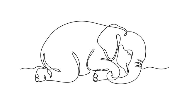 Continuous line drawing of a cute sleeping baby elephant curled up in a peaceful resting position with elephant