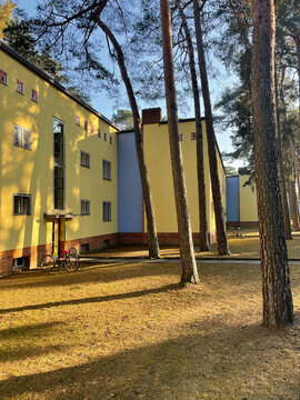 Waldsiedlung Zehlendorf, Berlin, 2026. Die Siedlung wurde ab 1926 haupts&auml;chlich von Bruno Taut entworfen und befindet sich im Berliner Westen nahe des Grundewaldes. 2026 ist 100-j&auml;hriges Jubil&auml;um.