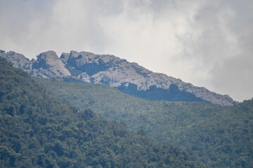 Fototapeta premium Itatiaia in Atlantic Forest