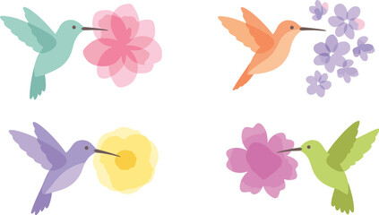 Colorful Hummingbird Cartoon Vector Set Drinking Nectar From Flowers and Blossoms for Spring and Nature Theme Designs © Mst