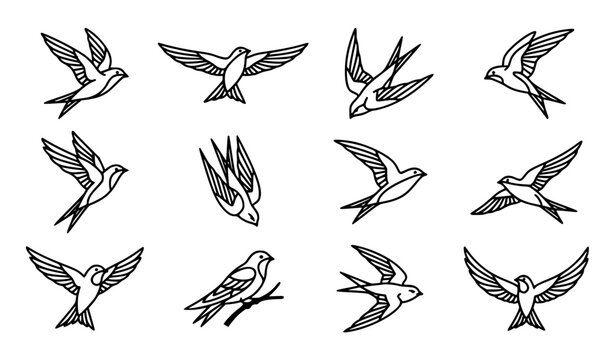 Swift Bird Line Art Vector Bundle with Flying and Perching Outline Illustrations