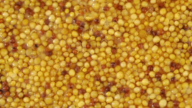 French Dijon mustard in a metal spoon, top view on mustard grains background. Gastronomy concept, organic food. Sauce. Slow rotation in a circle.	
